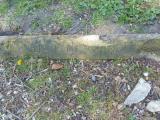 image of grave number 495420
